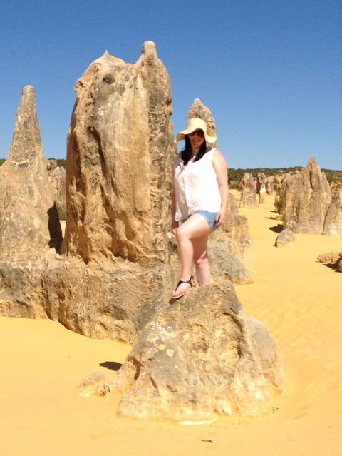 Pinnacles Desert, Koalas And Sandboarding 4WD Day Tour From Perth - Accommodation Port Hedland 16