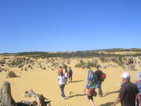 Pinnacles Desert, Koalas And Sandboarding 4WD Day Tour From Perth - Accommodation Port Hedland 25