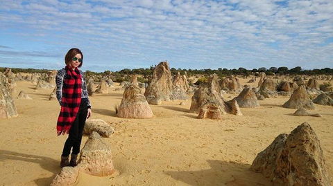 Pinnacles Desert, Koalas And Sandboarding 4WD Day Tour From Perth - Accommodation Port Hedland 13