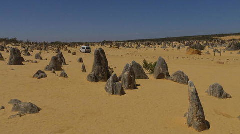 Pinnacles Desert, Koalas And Sandboarding 4WD Day Tour From Perth - Accommodation Port Hedland 4