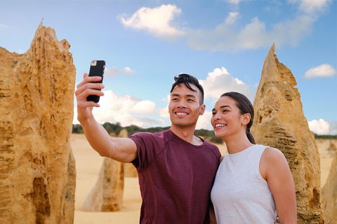 Pinnacles Desert, Koalas And Sandboarding 4WD Day Tour From Perth - Accommodation Port Hedland 27