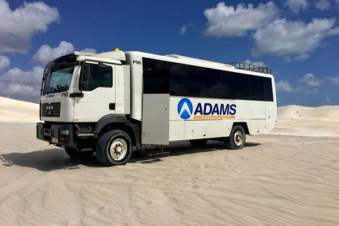 Pinnacles Desert, Koalas And Sandboarding 4WD Day Tour From Perth - Accommodation Port Hedland 28