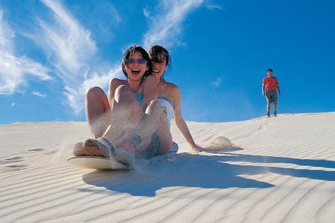 Pinnacles Desert, Koalas And Sandboarding 4WD Day Tour From Perth - Accommodation Port Hedland 30