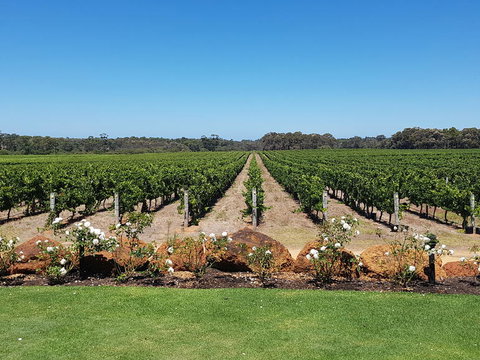 Margaret River Food, Wine & Sightseeing Tour From Perth - Accommodation Port Hedland 5