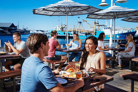 Full-Day Penguin Island & Fremantle Town - Accommodation Port Hedland 7