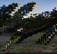 Stargazing Busselton with Mobile Observatory - Accommodation Port Hedland