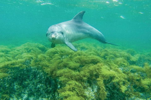 10 Day Perth To Adelaide - The Great Australian Wilderness Journey - Accommodation Port Hedland 20