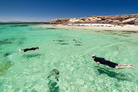 10 Day Perth To Adelaide - The Great Australian Wilderness Journey - Accommodation Port Hedland 6