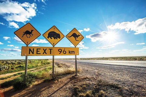 10 Day Perth To Adelaide - The Great Australian Wilderness Journey - Accommodation Port Hedland 17