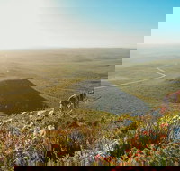 6 Day Esperance Margaret River and Albany Tour - Accommodation Port Hedland