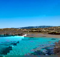 Rottnest Island Roundtrip Fast Ferry from Hillarys Boat Harbour - Accommodation Port Hedland