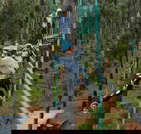 Busselton High Ropes and Zipline Adventure - Accommodation Port Hedland