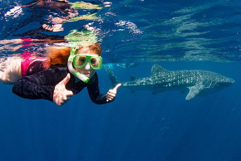 VIP Luxury Chartered Escapes, Exploring The Reef At Your Own Pace - Accommodation Port Hedland 20