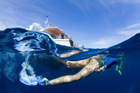 VIP Luxury Chartered Escapes, Exploring The Reef At Your Own Pace - Accommodation Port Hedland 40