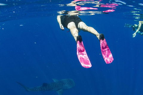 VIP Luxury Chartered Escapes, Exploring The Reef At Your Own Pace - Accommodation Port Hedland 49