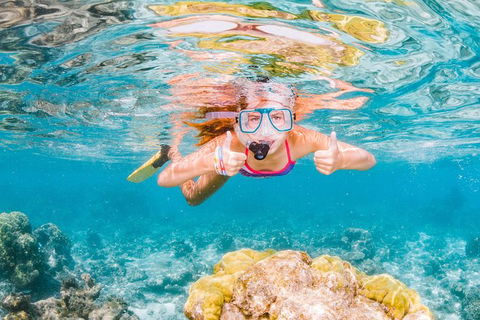 VIP Luxury Chartered Escapes, Exploring The Reef At Your Own Pace - Accommodation Port Hedland 48