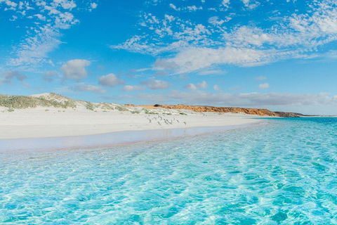 VIP Luxury Chartered Escapes, Exploring The Reef At Your Own Pace - Accommodation Port Hedland 36