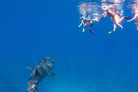 VIP Luxury Chartered Escapes, Exploring The Reef At Your Own Pace - Accommodation Port Hedland 22