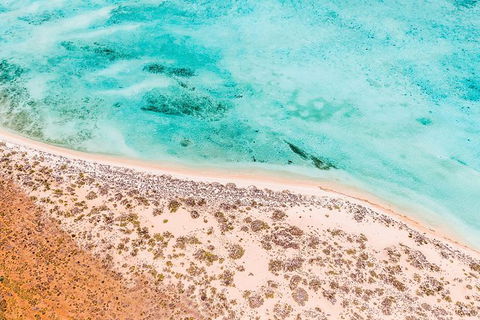 VIP Luxury Chartered Escapes, Exploring The Reef At Your Own Pace - Accommodation Port Hedland 4