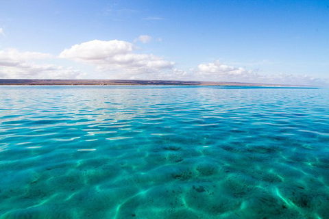 VIP Luxury Chartered Escapes, Exploring The Reef At Your Own Pace - Accommodation Port Hedland 32