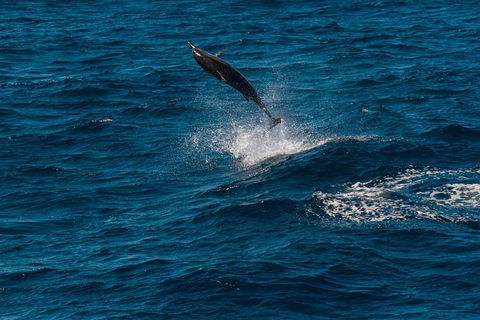 VIP Luxury Chartered Escapes, Exploring The Reef At Your Own Pace - Accommodation Port Hedland 42