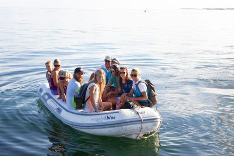 VIP Luxury Chartered Escapes, Exploring The Reef At Your Own Pace - Accommodation Port Hedland 43