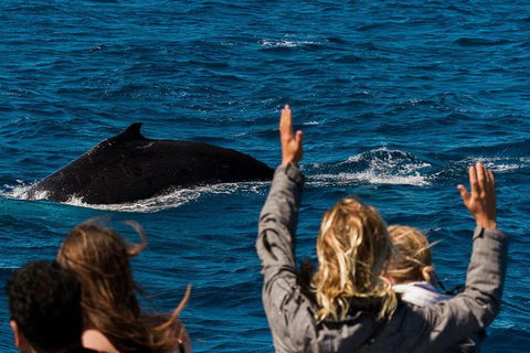 VIP Luxury Chartered Escapes, Exploring The Reef At Your Own Pace - Accommodation Port Hedland 21