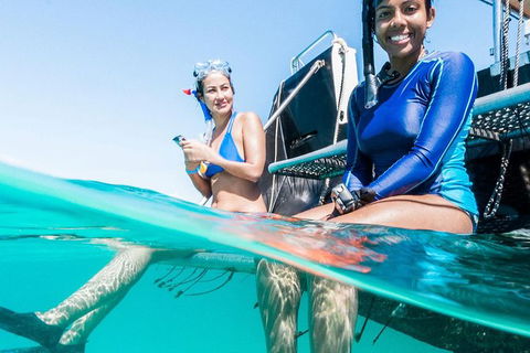 VIP Luxury Chartered Escapes, Exploring The Reef At Your Own Pace - Accommodation Port Hedland 24