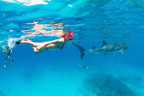 VIP Luxury Chartered Escapes, Exploring The Reef At Your Own Pace - Accommodation Port Hedland 35