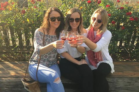 Swan Valley Wine Full Day Tour - Accommodation Port Hedland 4