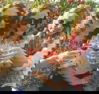 Half Day Swan Valley Wine Tour - Accommodation Port Hedland