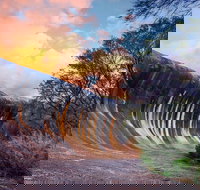 Wave Rock Private Tour - Accommodation Port Hedland