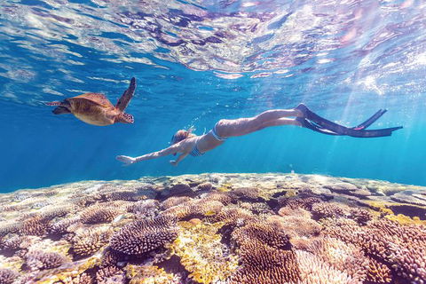 7-Day Exmouth Explorer Via Pinnacles Monkey Mia Ningaloo Reef Returning To Perth - Accommodation Port Hedland 0