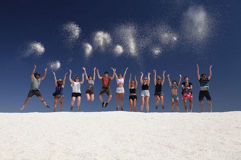 7-Day Exmouth Explorer Via Pinnacles Monkey Mia Ningaloo Reef Returning To Perth - Accommodation Port Hedland 1