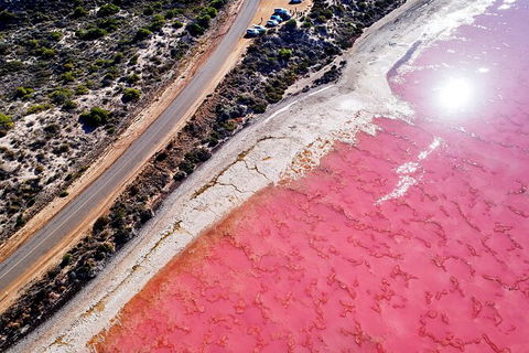 7-Day Exmouth Explorer Via Pinnacles Monkey Mia Ningaloo Reef Returning To Perth - Accommodation Port Hedland 5