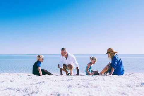 7-Day Exmouth Explorer Via Pinnacles Monkey Mia Ningaloo Reef Returning To Perth - Accommodation Port Hedland 6