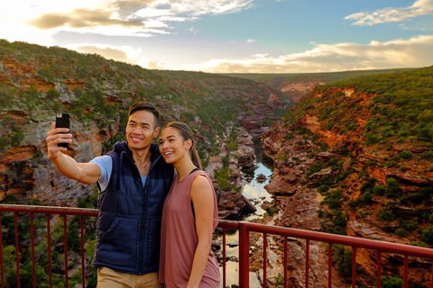 7-Day Exmouth Explorer Via Pinnacles Monkey Mia Ningaloo Reef Returning To Perth - Accommodation Port Hedland 2