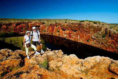 7-Day Exmouth Explorer Via Pinnacles Monkey Mia Ningaloo Reef Returning To Perth - Accommodation Port Hedland 12