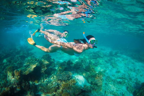 7-Day Exmouth Explorer Via Pinnacles Monkey Mia Ningaloo Reef Returning To Perth - Accommodation Port Hedland 13