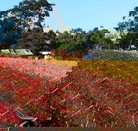 Swan Valley Wine Time Private Day Tour - Accommodation Port Hedland