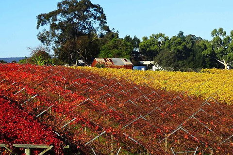 Swan Valley Wine Time (Private) Day Tour - Accommodation Port Hedland 0
