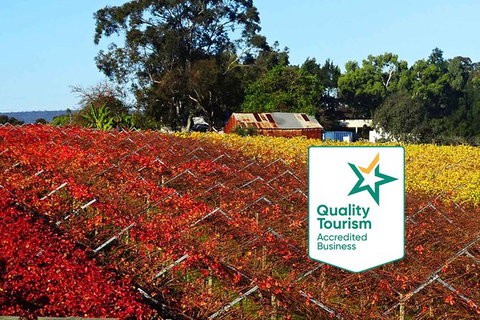 Swan Valley Wine Time (Private) Day Tour - Accommodation Port Hedland 2