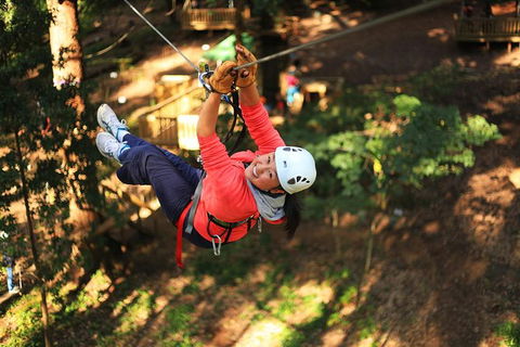 Trees Adventure Lane Poole Park - Treetop & Zipline Experience - Accommodation Port Hedland 0