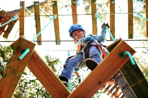 Trees Adventure Lane Poole Park - Treetop & Zipline Experience - Accommodation Port Hedland 1