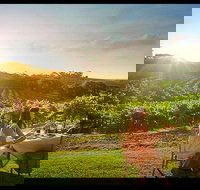 Private Swan Valley Tour by Luxury Vehicle from Perth - Accommodation Port Hedland