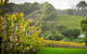 Half-Day Swan Valley & Wildlife Park Tour - thumb 2