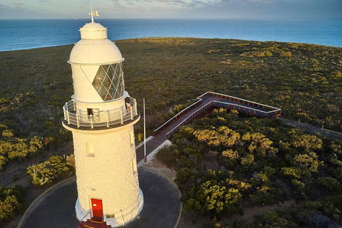 Cape Naturaliste Lighthouse Fully-guided Tour - Accommodation Port Hedland 0