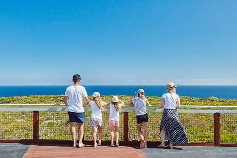 Cape Naturaliste Lighthouse Fully-guided Tour - Accommodation Port Hedland 3