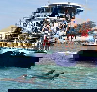 Mandurah Dolphin and Scenic Marine Cruise - Accommodation Port Hedland