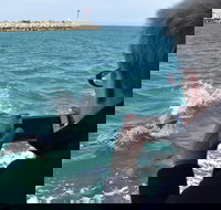 Mandurah Dolphin Island Adventure - Accommodation Port Hedland